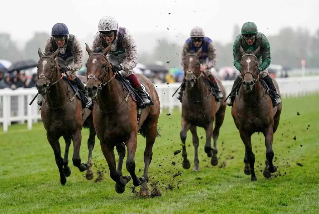 Horses galloping on soft going turf with mud splashing